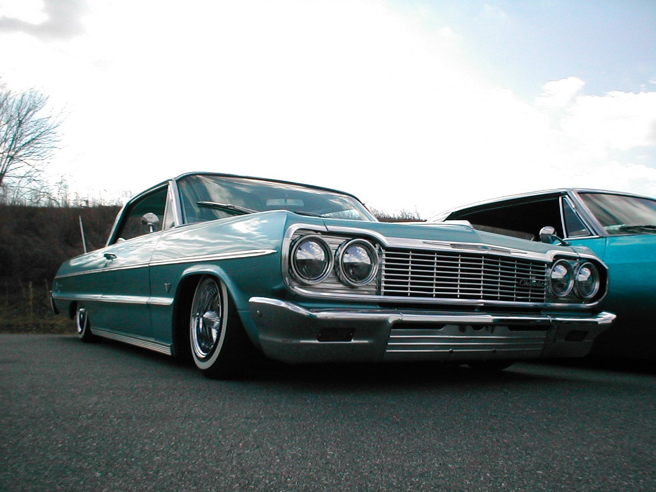 Blue Impala 64