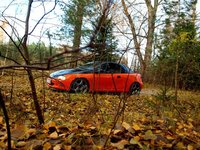 1995 Opel Tigra Overview 1995 Opel Tigra Overview