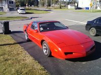 Firebird Firebird
