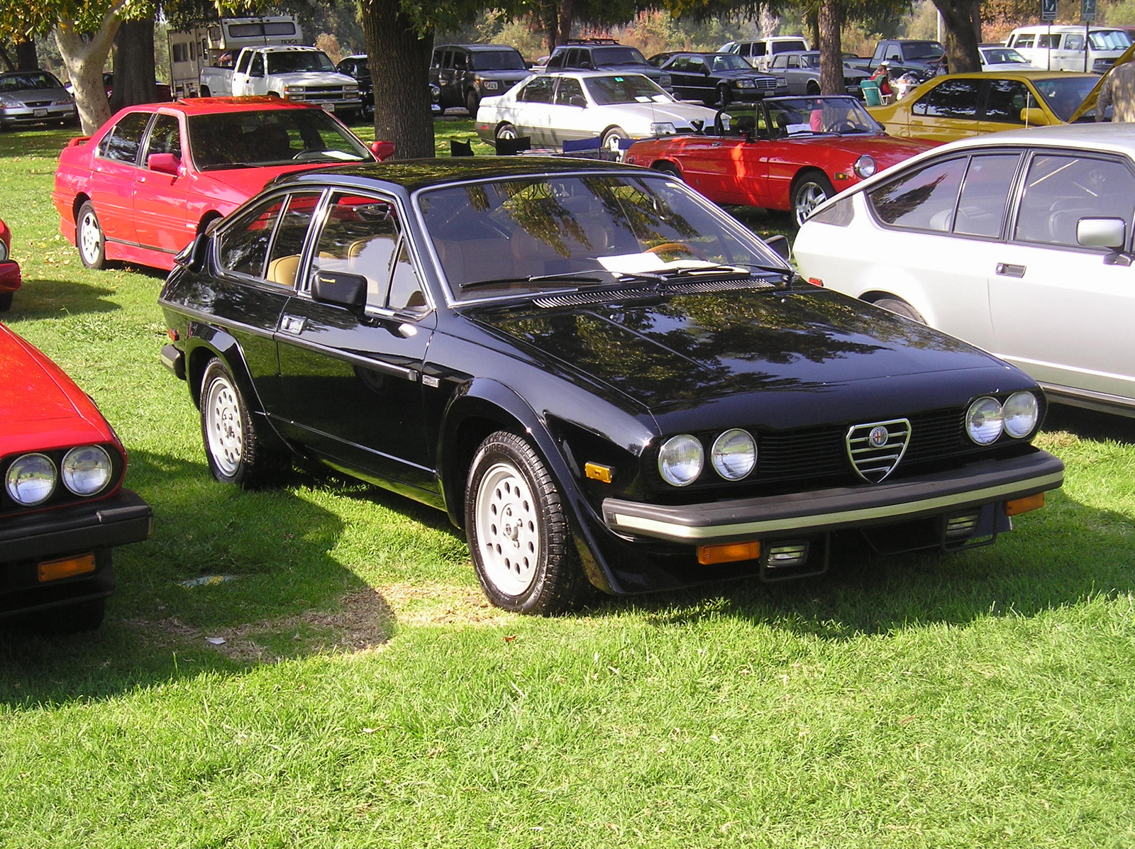 Alfa Romeo Alfetta Questions - How Much - 1of50 Veloce Velocissima