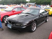 Mustang SVT Cobra Mustang SVT Cobra