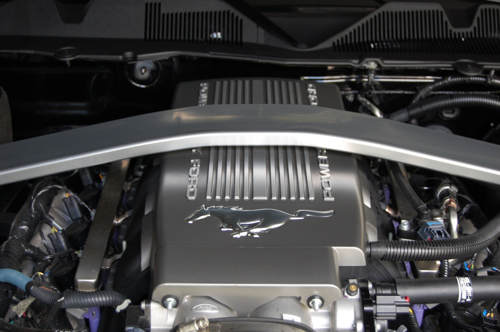 2010 Ford Mustang