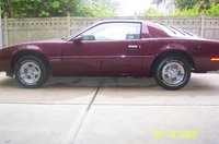 Firebird Firebird