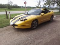 Firebird Firebird