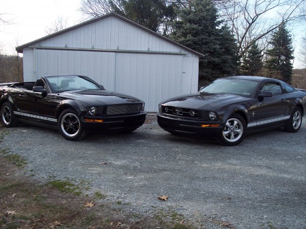 2012 mustang v6 interior. 2012 mustang v6 performance.