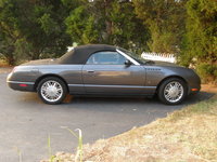 Thunderbird Thunderbird