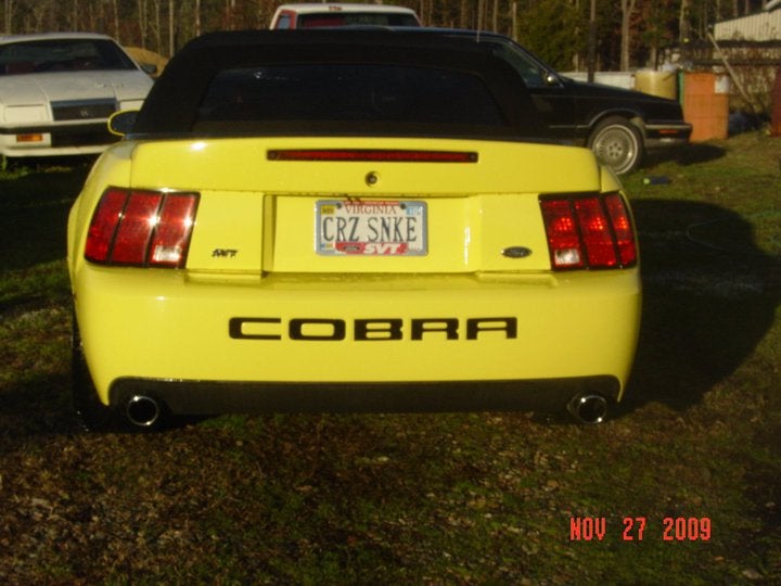 2003 Ford Mustang Svt Cobra Convertible. 2003 Ford Mustang SVT Cobra 2