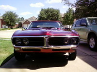 Firebird Firebird
