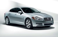 XF XF