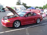 Mustang SVT Cobra Mustang SVT Cobra