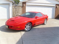 Firebird Firebird