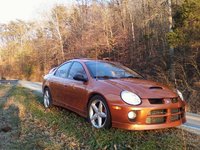 Neon SRT-4 Neon SRT-4