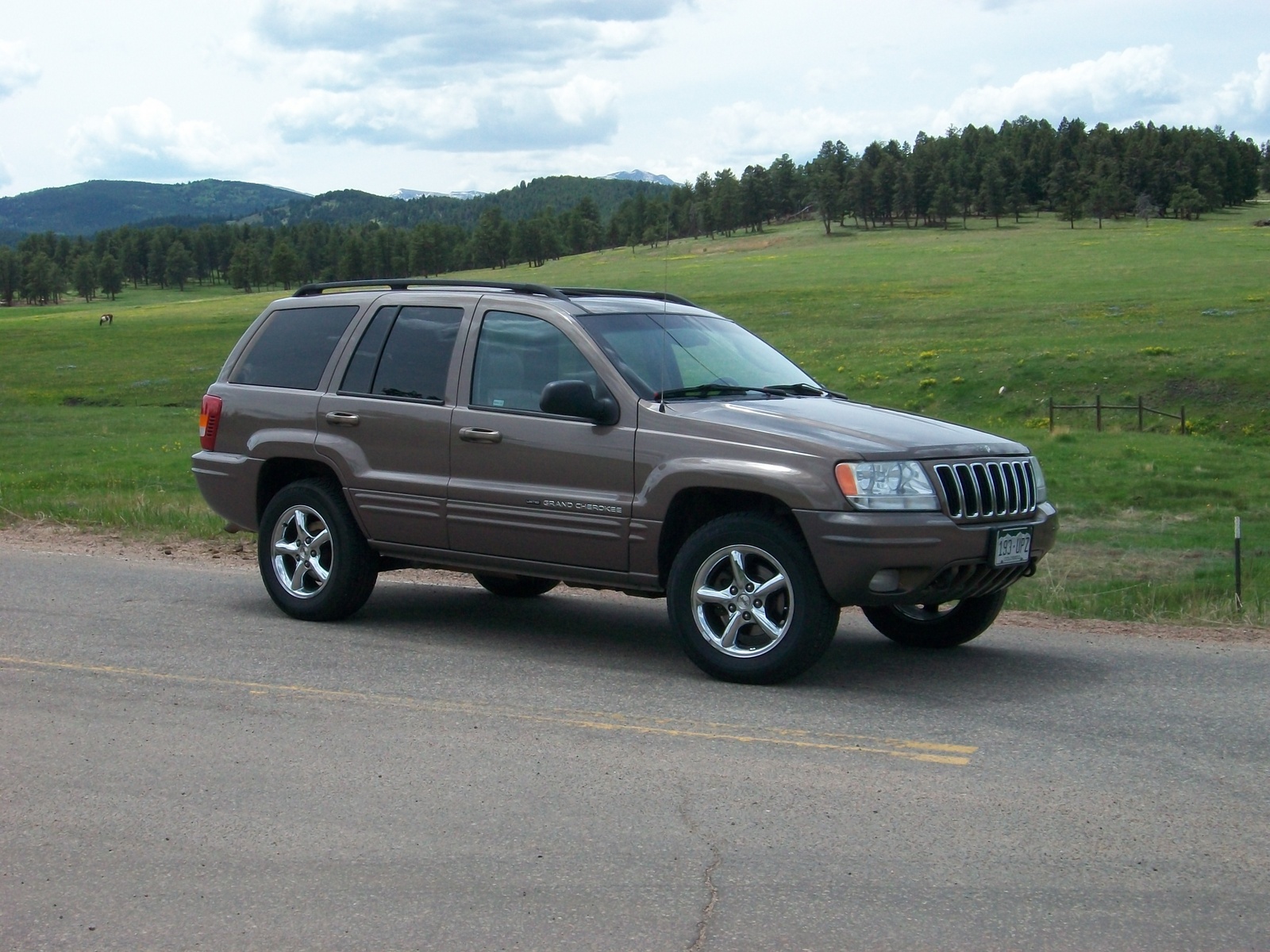 1994 Jeep grand cherokee limited edition specs #5