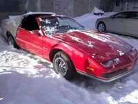 Firebird Firebird