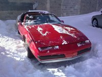 Firebird Firebird