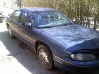 Lumina Lumina