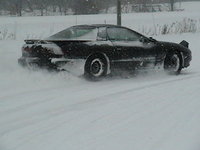 Firebird Firebird