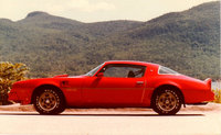 1976 Pontiac Trans Am Overview 1976 Pontiac Trans Am Overview