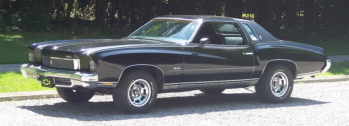 1973 Chevrolet Monte Carlo just a day in the park exterior