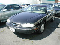 Lumina Lumina