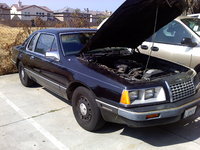 1984 Ford Thunderbird Overview 1984 Ford Thunderbird Overview