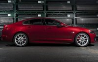 XF XF