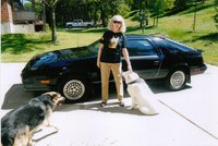 1985 Dodge Daytona Overview 1985 Dodge Daytona Overview