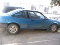 Cavalier Cavalier