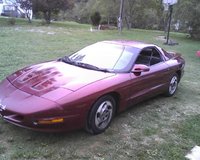 Firebird Firebird