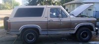 1981 Ford Bronco Overview 1981 Ford Bronco Overview