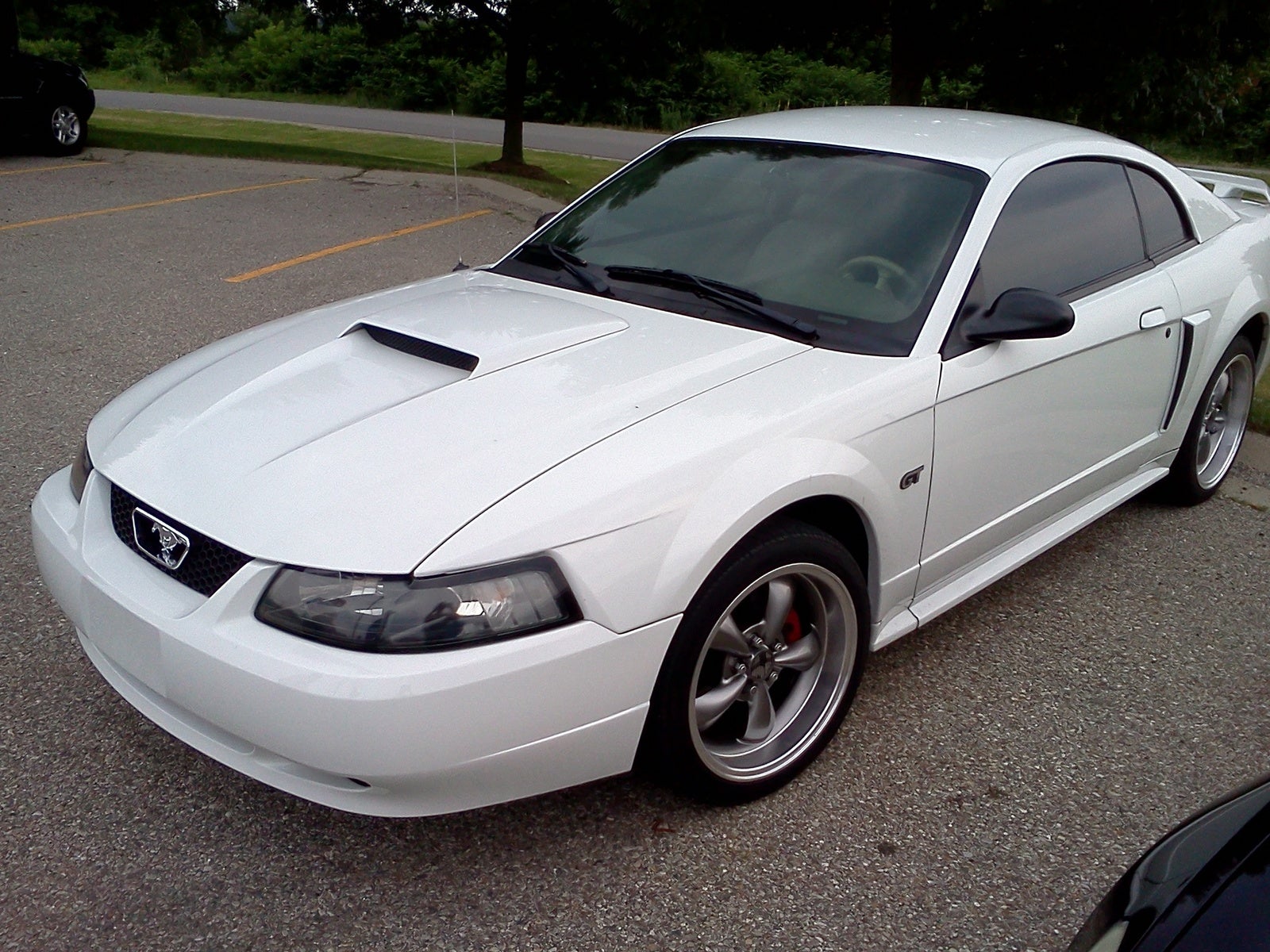 2003 Ford gt mustang specs #6