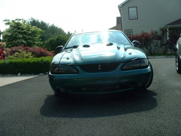 2000 Ford Mustang Svt Cobra Overview Cargurus 0086