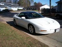 Firebird Firebird