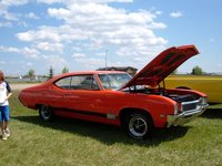 Skylark Skylark