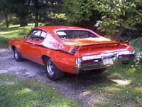 Skylark Skylark