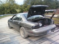 Lumina Lumina