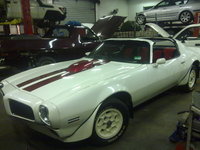 Firebird Firebird