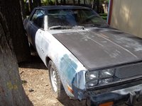 1980 Dodge Challenger Overview 1980 Dodge Challenger Overview
