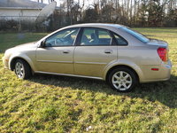 Forenza Forenza