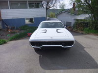 Road Runner Road Runner