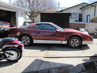 Firebird Firebird