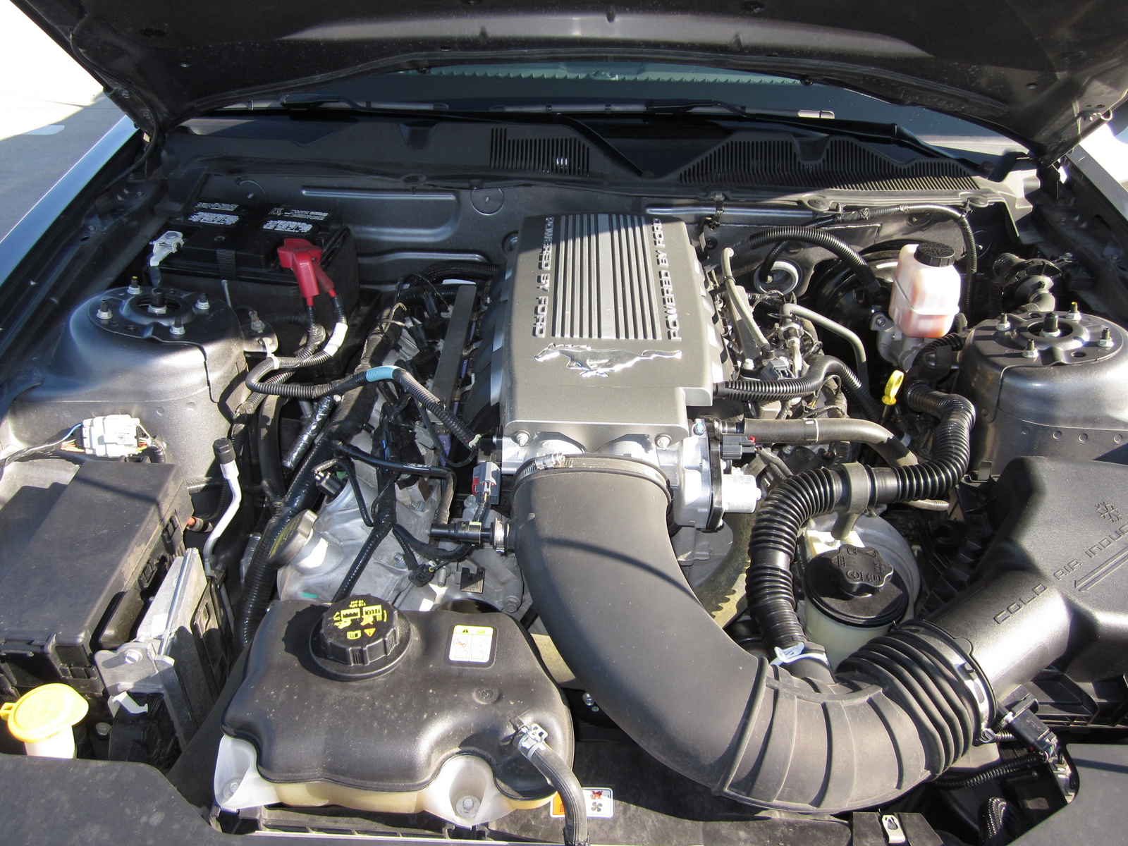 2010 Ford Mustang