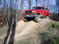 Bronco Bronco