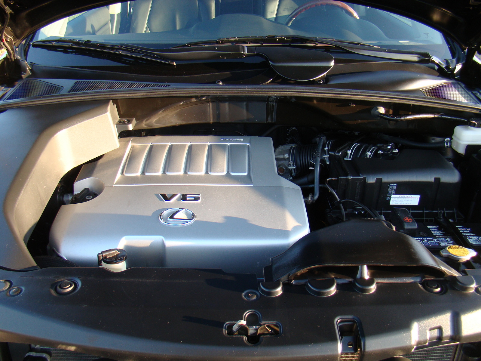 2009 Lexus RX 350