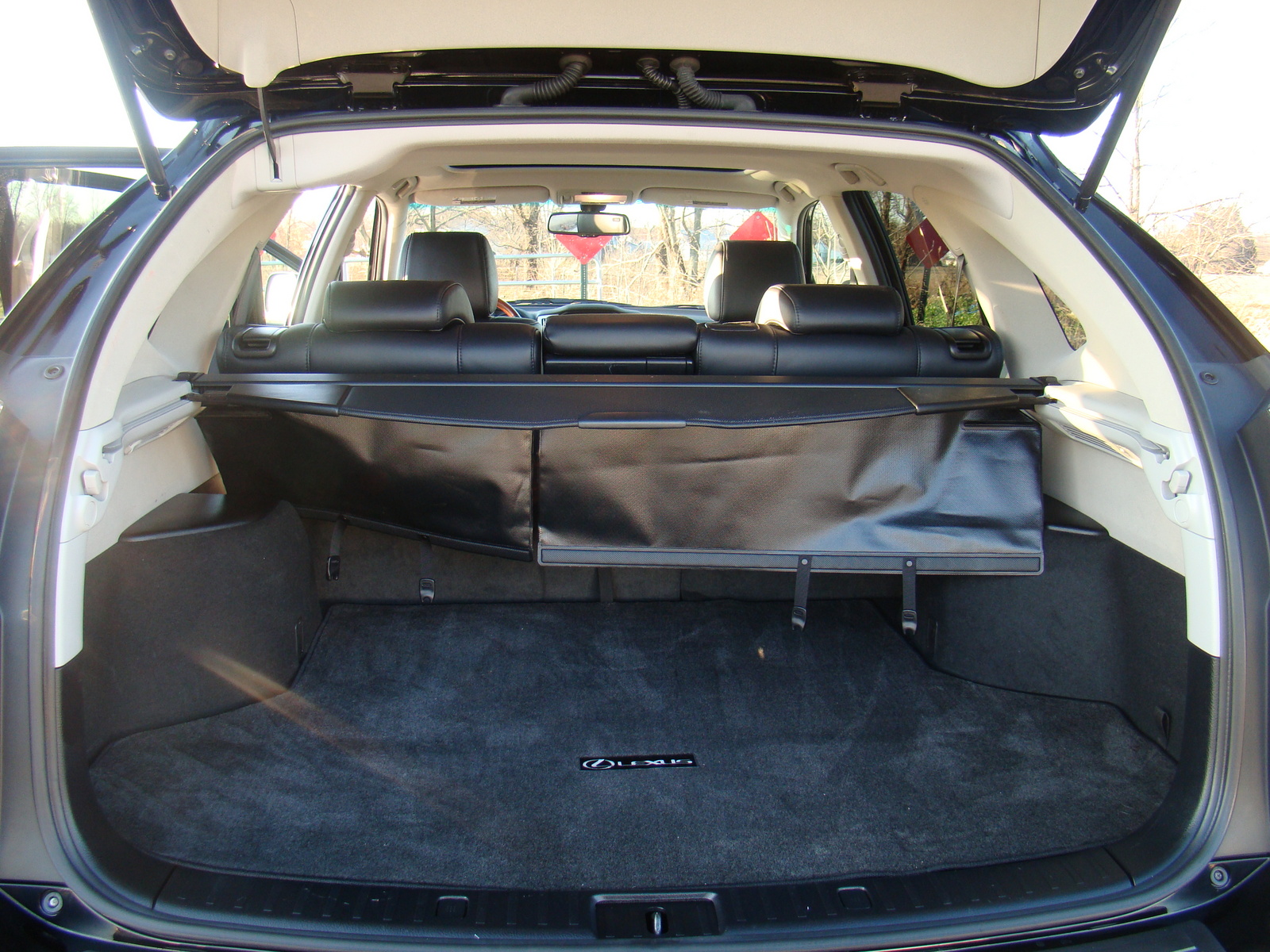 2009 Lexus RX 350