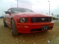 Mustang SVT Cobra Mustang SVT Cobra