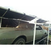 Firebird Firebird