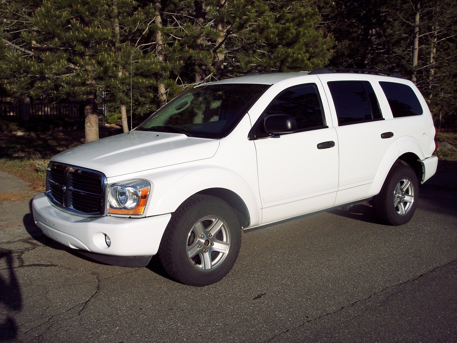2004 Dodge Durango Pictures CarGurus