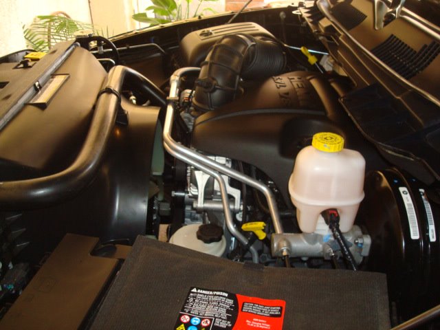 2010 Dodge Ram Pickup 1500
