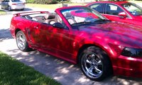 Mustang SVT Cobra Mustang SVT Cobra